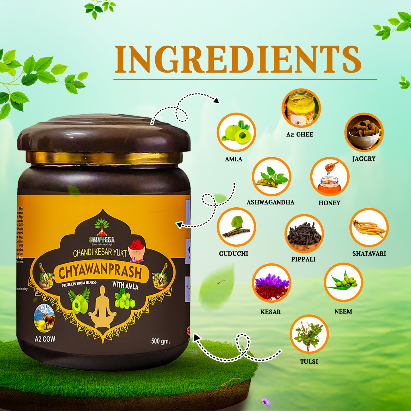 Boost Immunity Naturally with Shivveda Chandi Kesar Yukt Chyawanprash – Enriched with Amla & Saffron