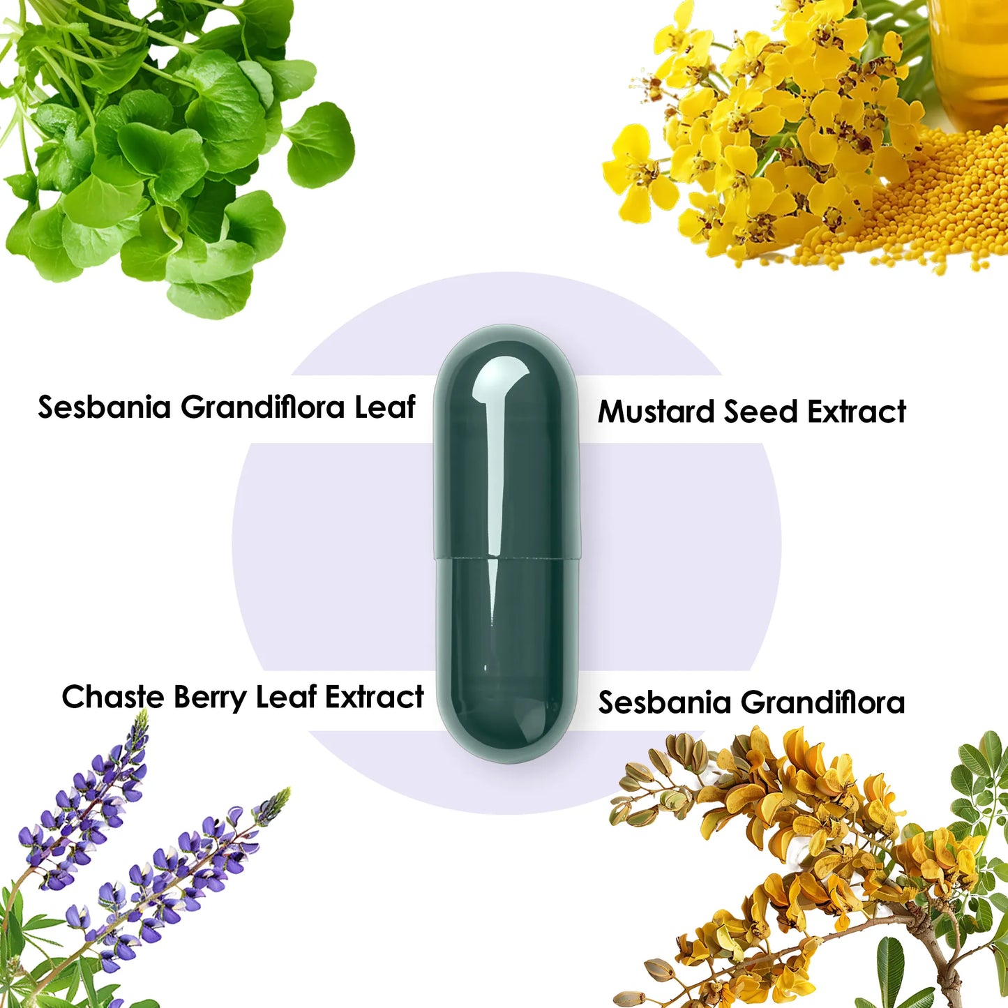 Shivveda Hair Wellness – Natural Hair Growth and Care Supplement