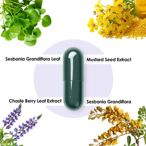 Shivveda Hair Wellness – Natural Hair Growth and Care Supplement