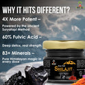 Kesar Yukt Shilajit – Pure Himalayan Energy & Vitality Boost with Saffron