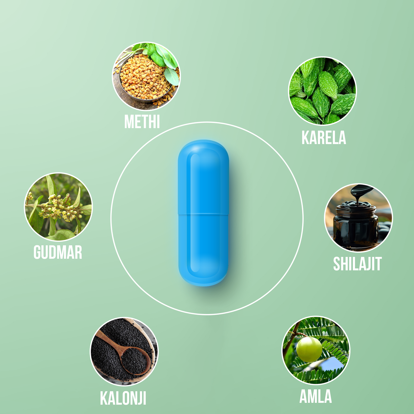 Naturally Balance Your Blood Sugar with Rama Buti – Ayurvedic Capsules for Diabetes Care