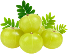 AMLA