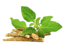 ASHWAGANDHA