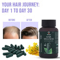Shivveda Hair Wellness – Natural Hair Growth and Care Supplement